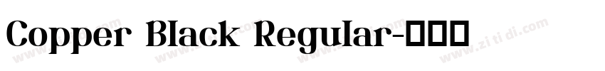 Copper Black Regular字体转换